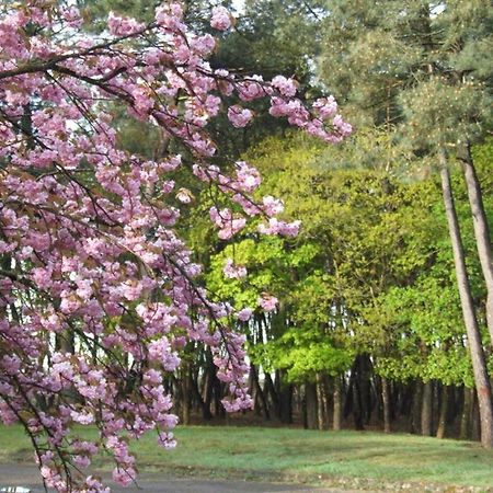 Le Clos Du Chene Langon  エクステリア 写真