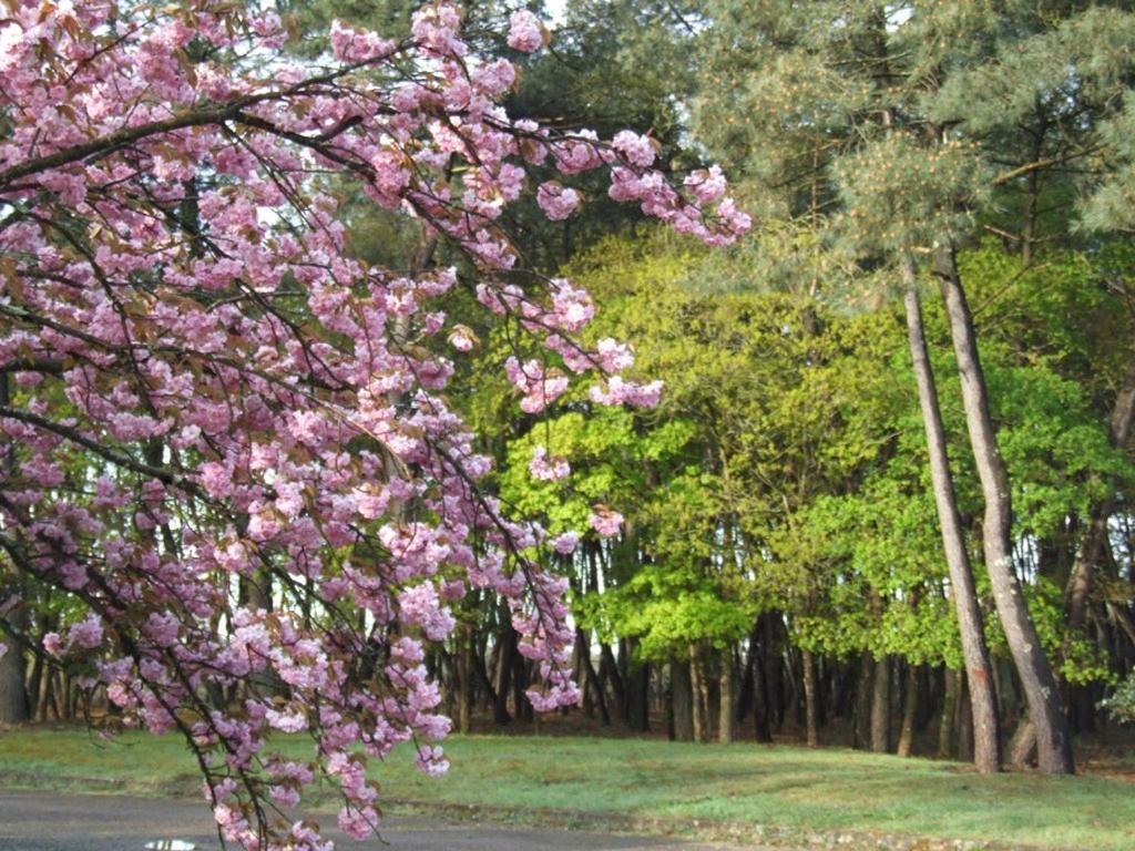Le Clos Du Chene Langon  エクステリア 写真