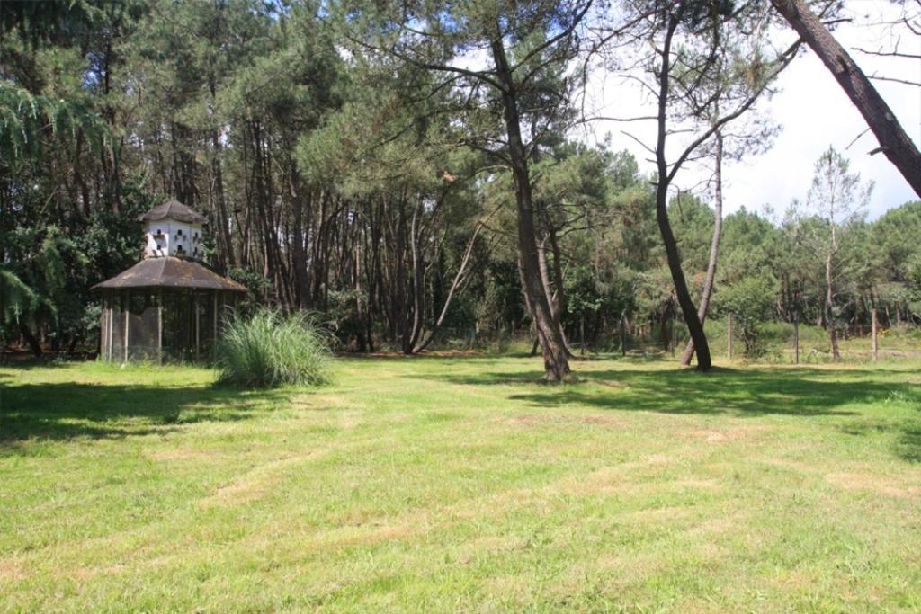 Le Clos Du Chene Langon  エクステリア 写真